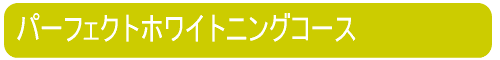パーフェクトホワイトニングコース