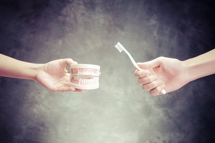 歯の模型と歯ブラシ 歯の模型と歯ブラシ